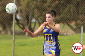 netball—-warrnambool-v-north-warrnambool-10.jpg