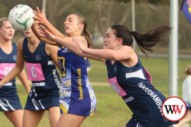 netball—-warrnambool-v-north-warrnambool-18.jpg