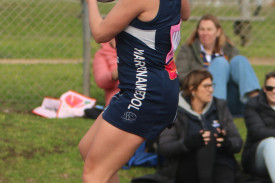 netball—-warrnambool-v-north-warrnambool-19.jpg