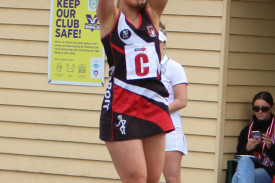 netball-13-1718255437.jpg