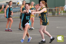 netball-27-1720056954.jpg