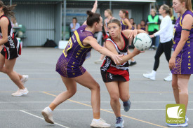 netball-7-1718255413.jpg