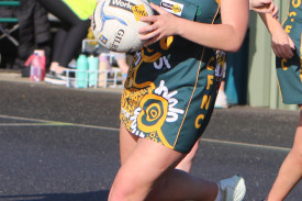 netball-8-1721265001.jpg