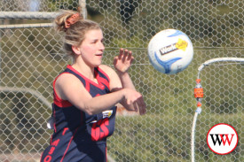 netball-open—-old-collegains-v-timboon-6.jpg