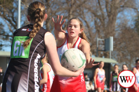netball-u15—-camperdown-v-south-warrnambool-1.jpg