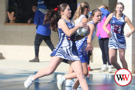 netball-u17—-allansford-v-russells-creek-2.jpg