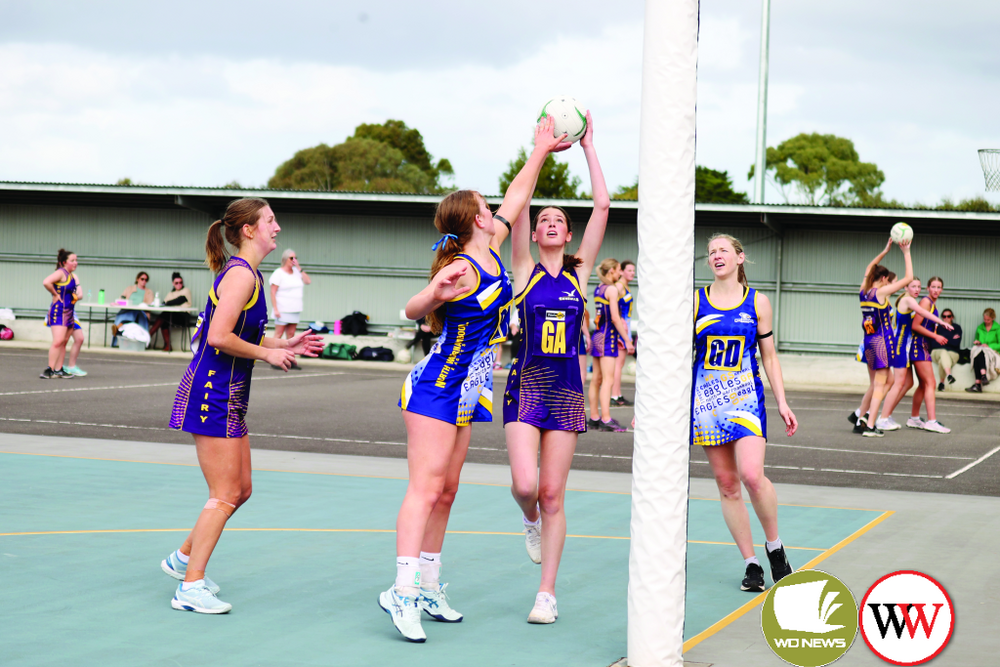 North Warrnambool v Port Fairy in photos - feature photo