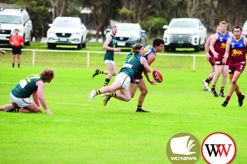 South Rovers v Old Collegians - feature photo