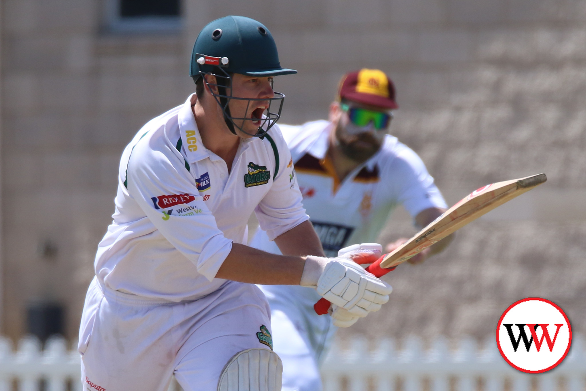 Local Cricket Action - feature photo