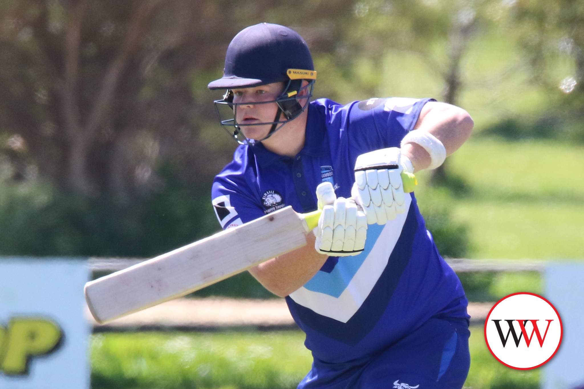 Around the Grounds - feature photo