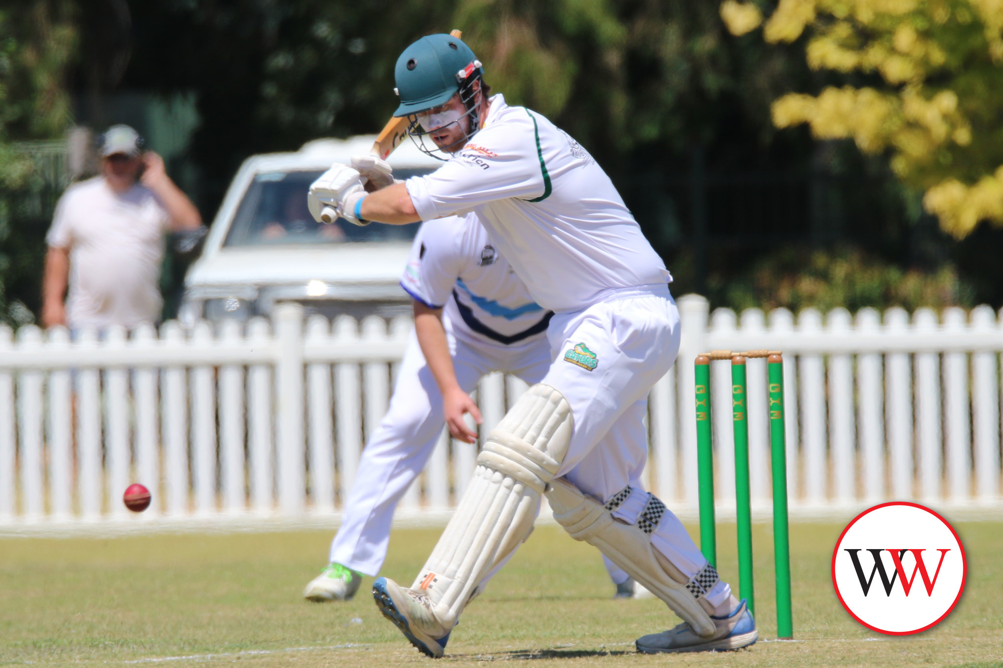 Gators find form with the bat - feature photo