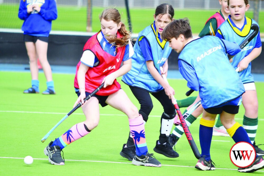 Hockey thrives in Warrnambool - feature photo