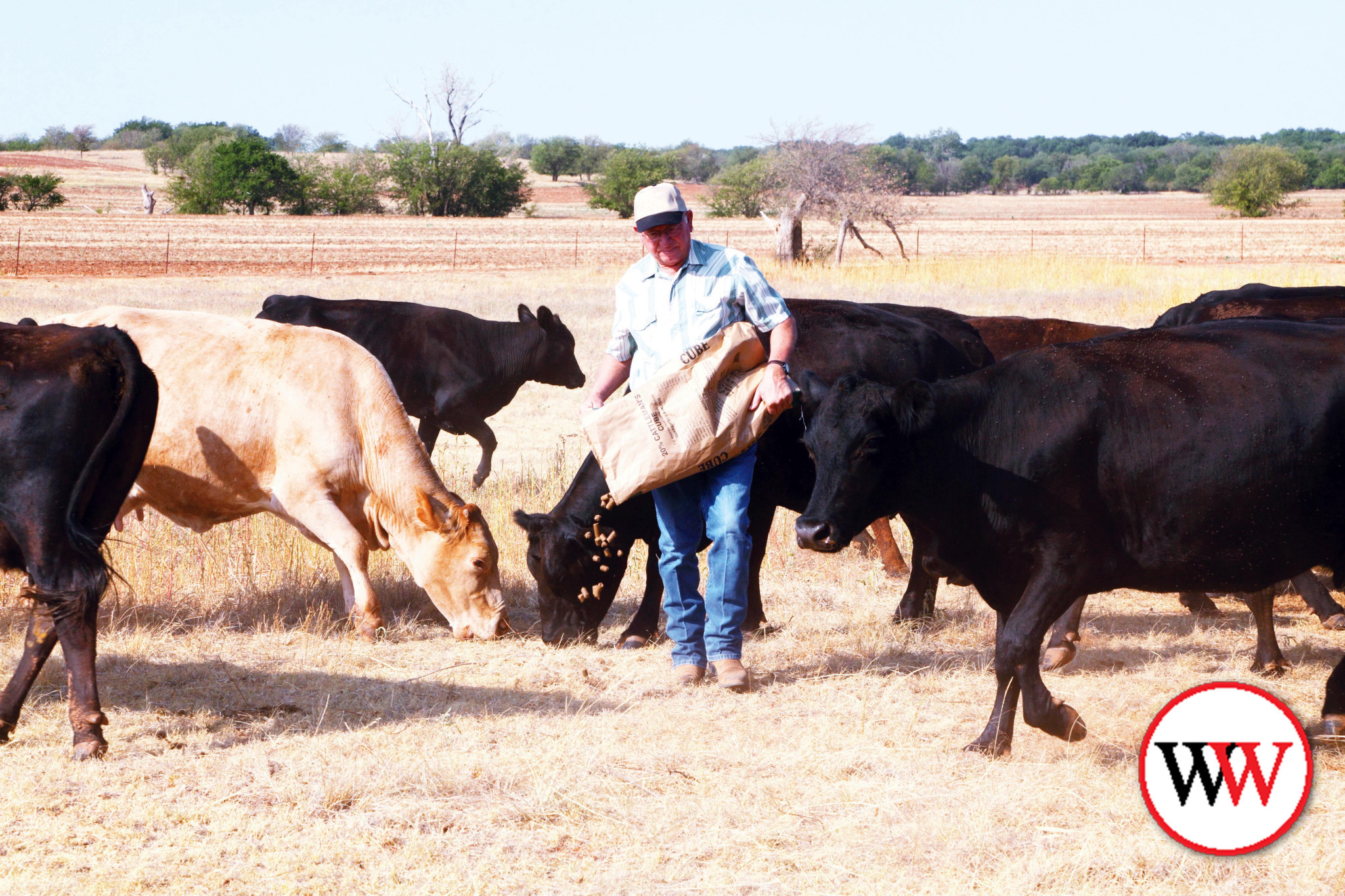 Infrastructure grants open for farmers - feature photo