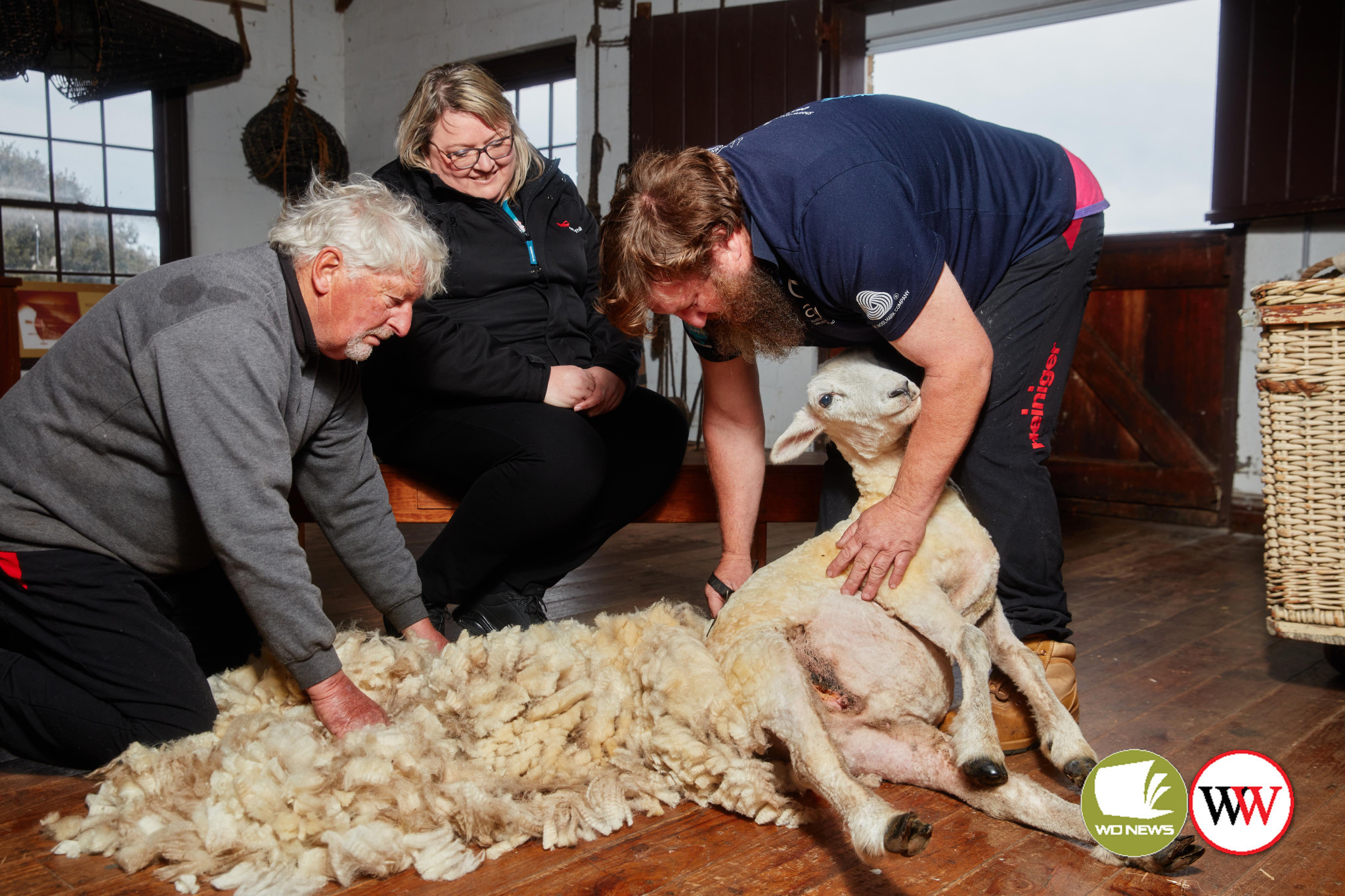Terry shows Flagstaff Hill village activations coordinator Kate Wake how to shear a sheep.