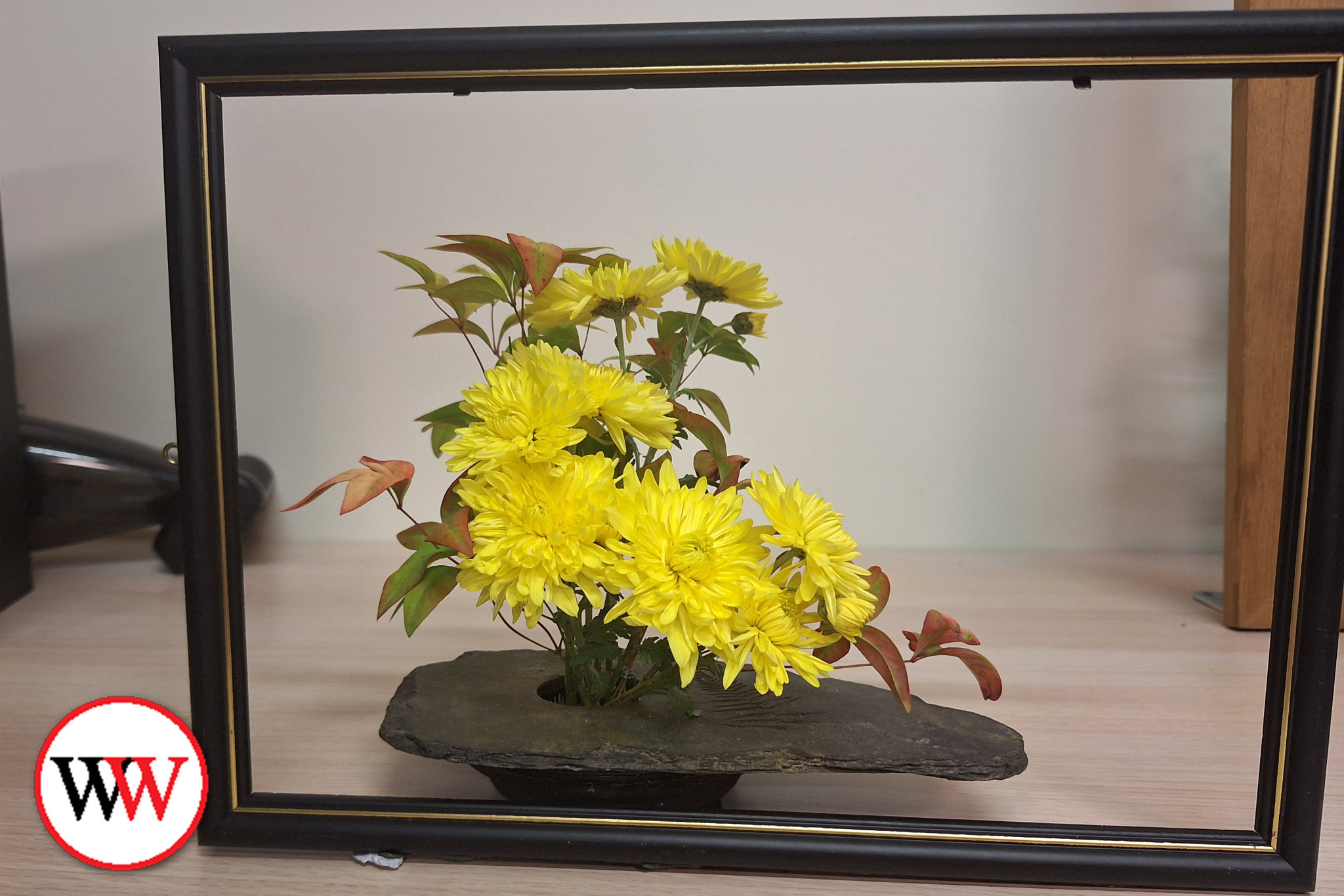 Floral displays inside a frame - feature photo