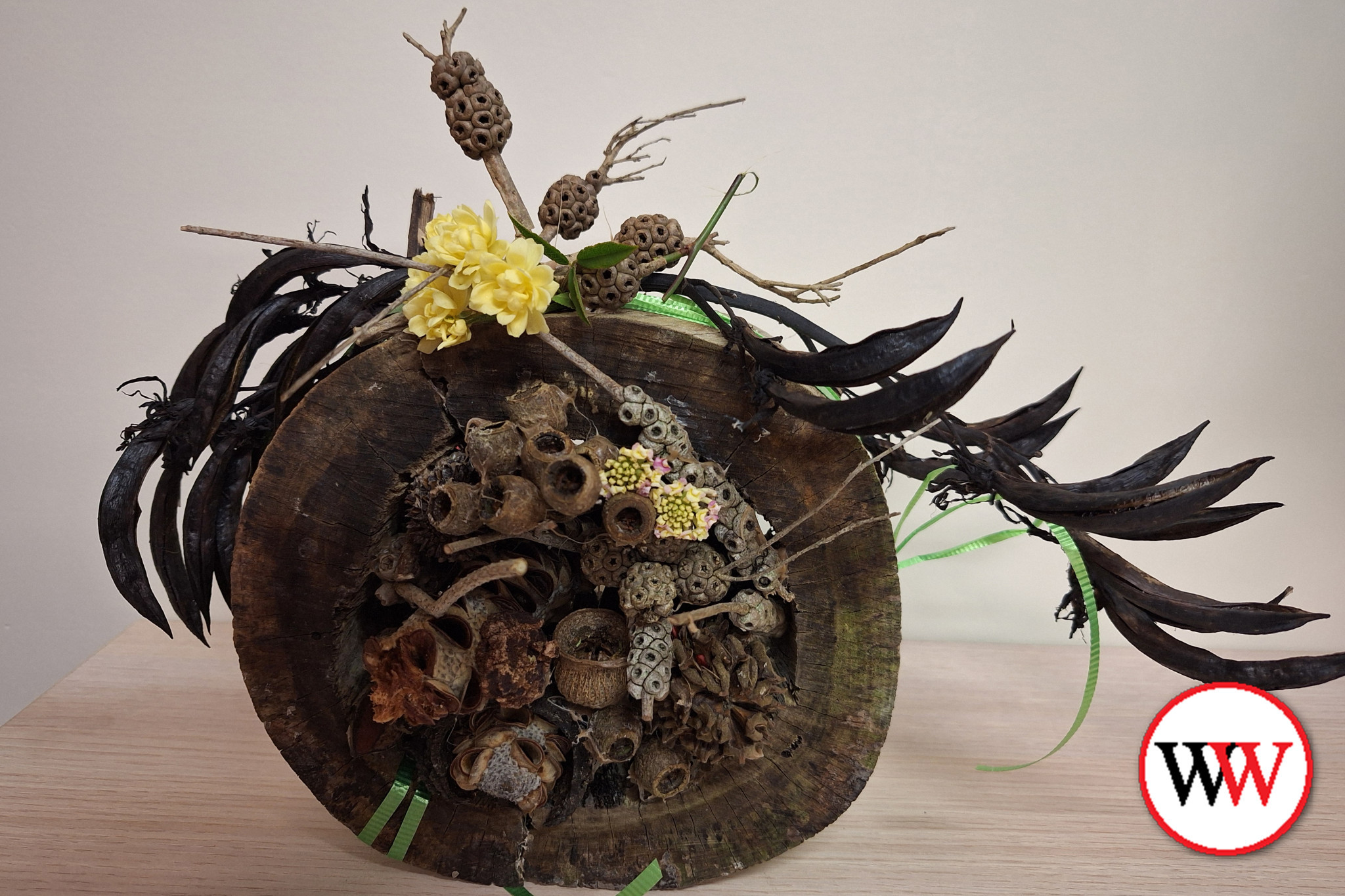 Bug houses on show - feature photo