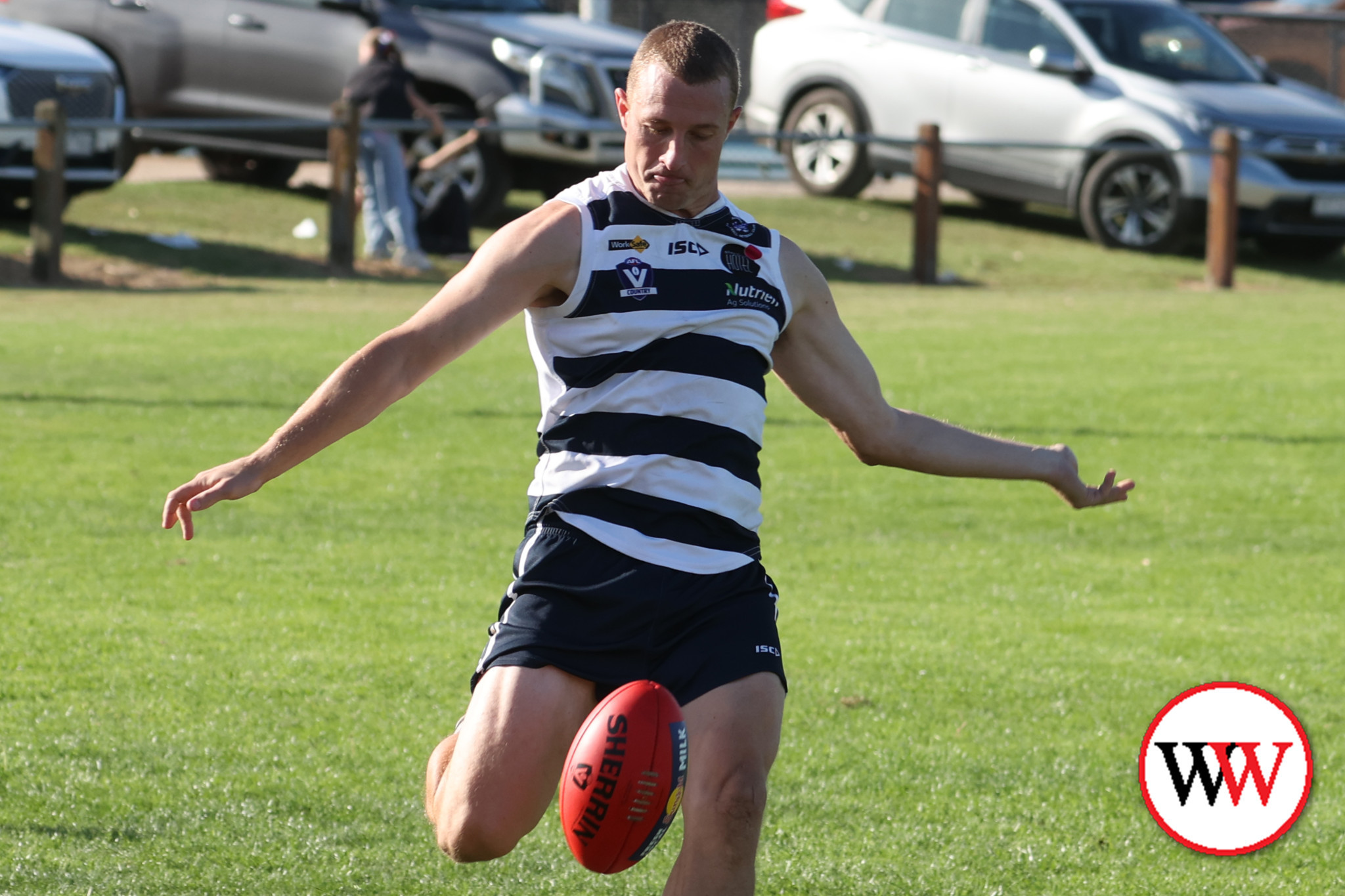Tigers roar on top - feature photo
