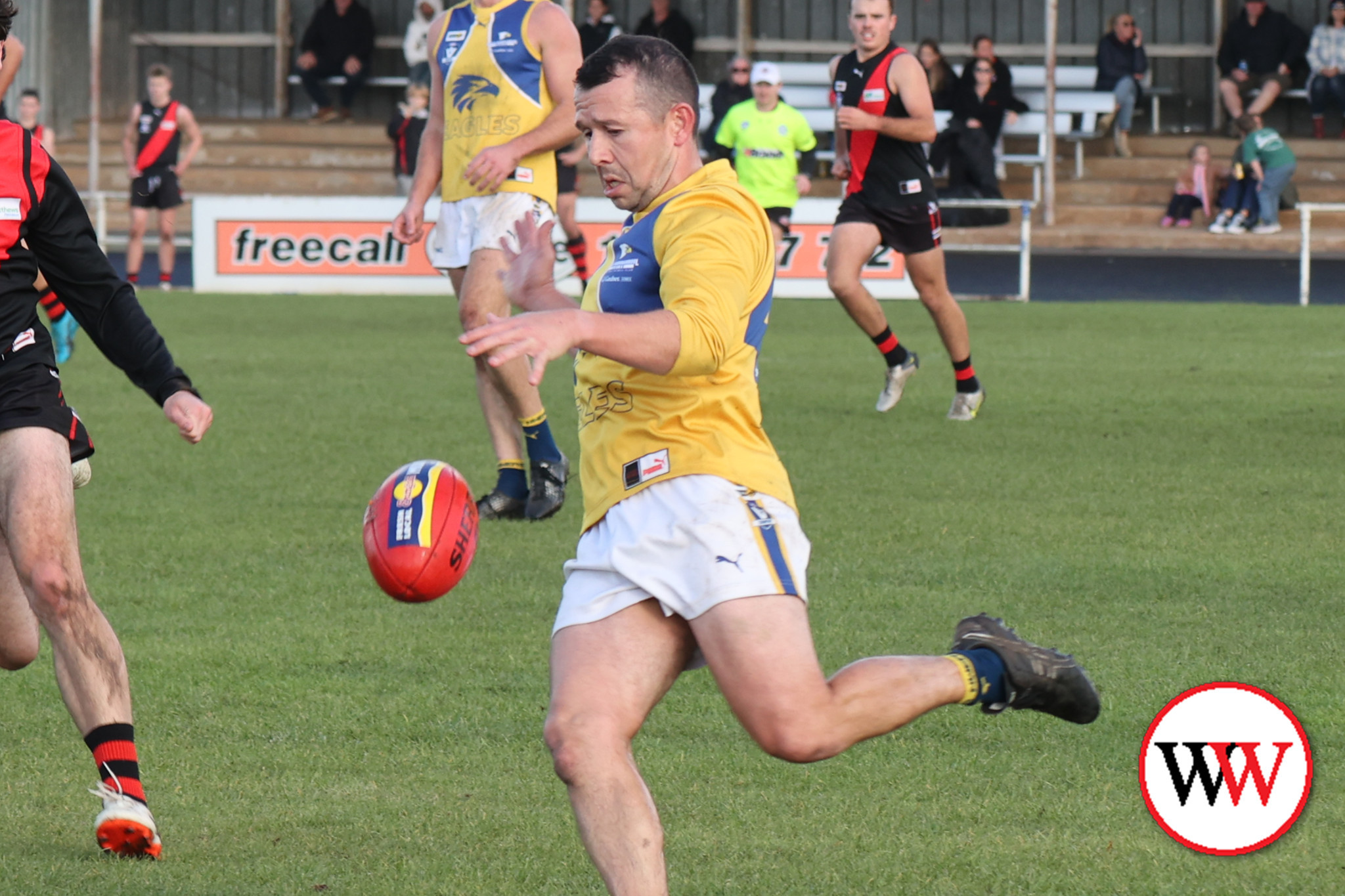 Eagles continue to soar - feature photo