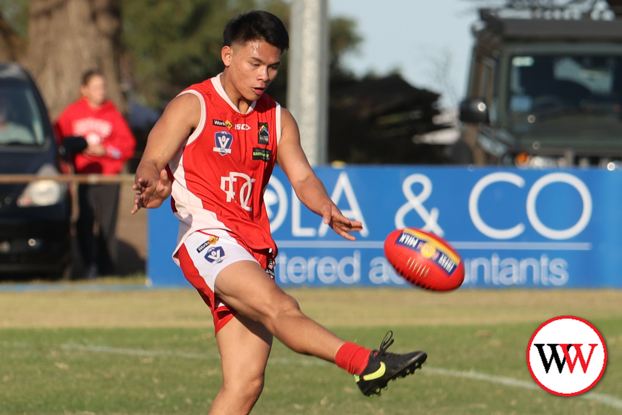 Tigers look to consolidate - feature photo