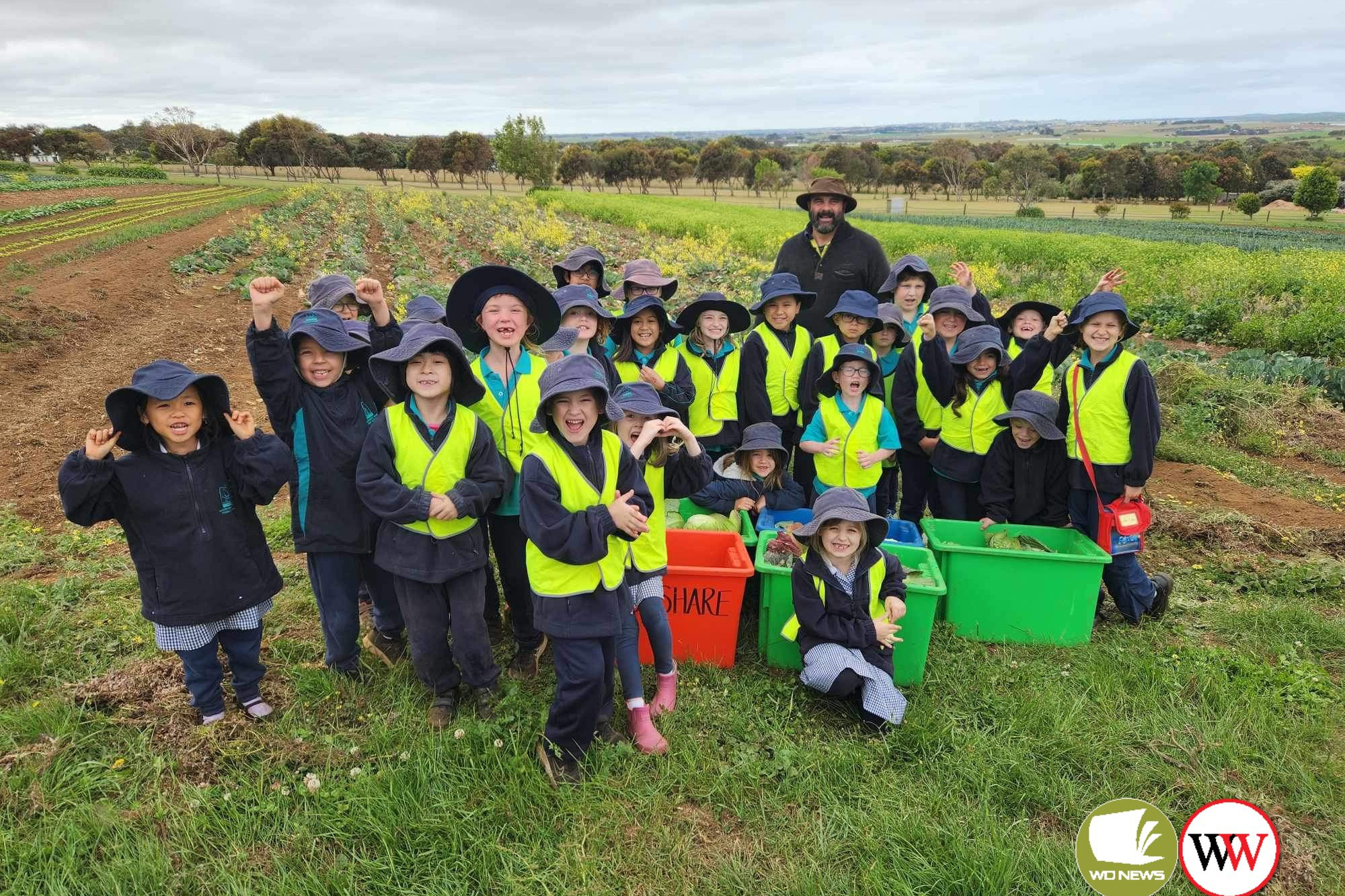 Students were happy to collect cabbages for Food Share.