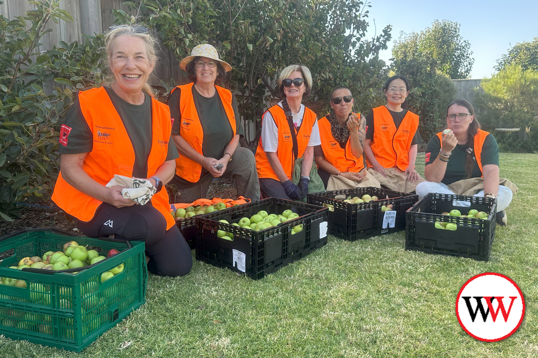 Workshop series marks milestone for Fruit Rescue - feature photo