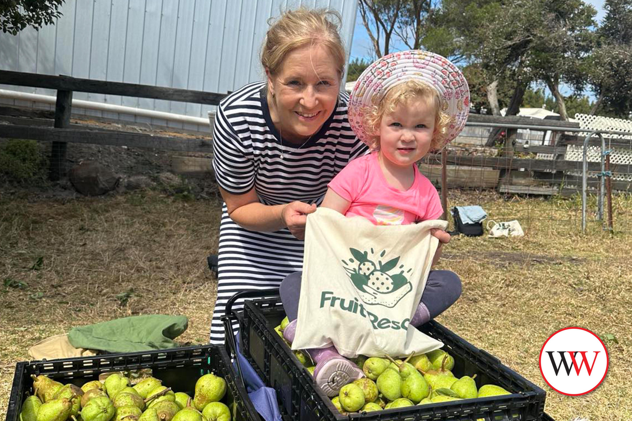 One tonne of fruit saved - feature photo