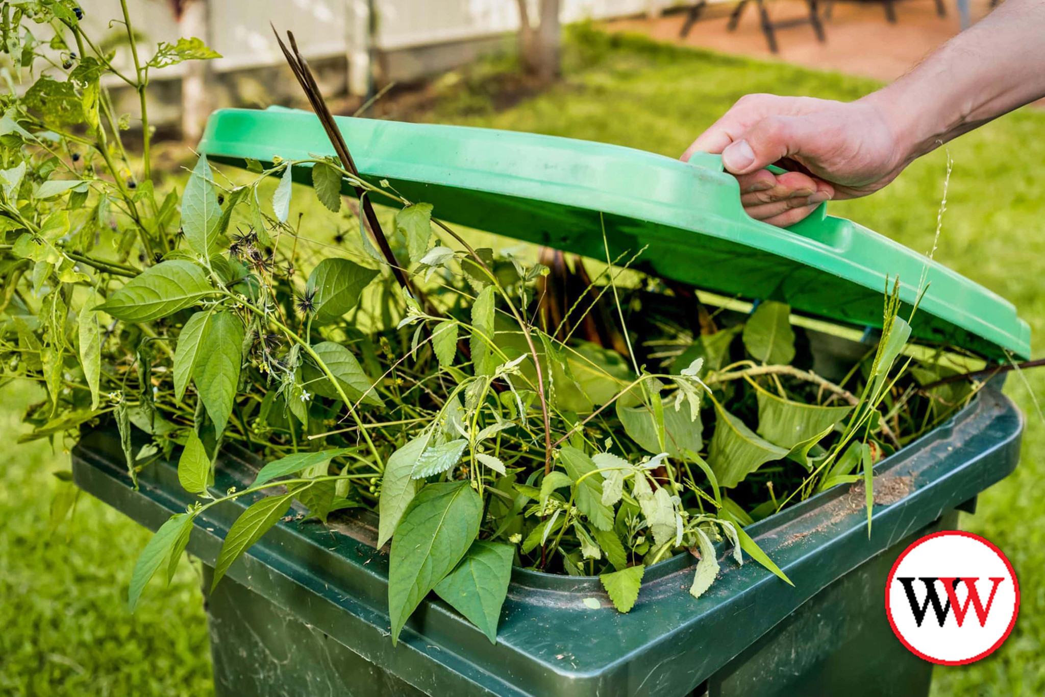 Free green waste disposal - feature photo