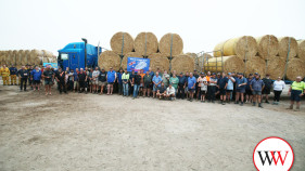 Truck convoy loaded with donations
