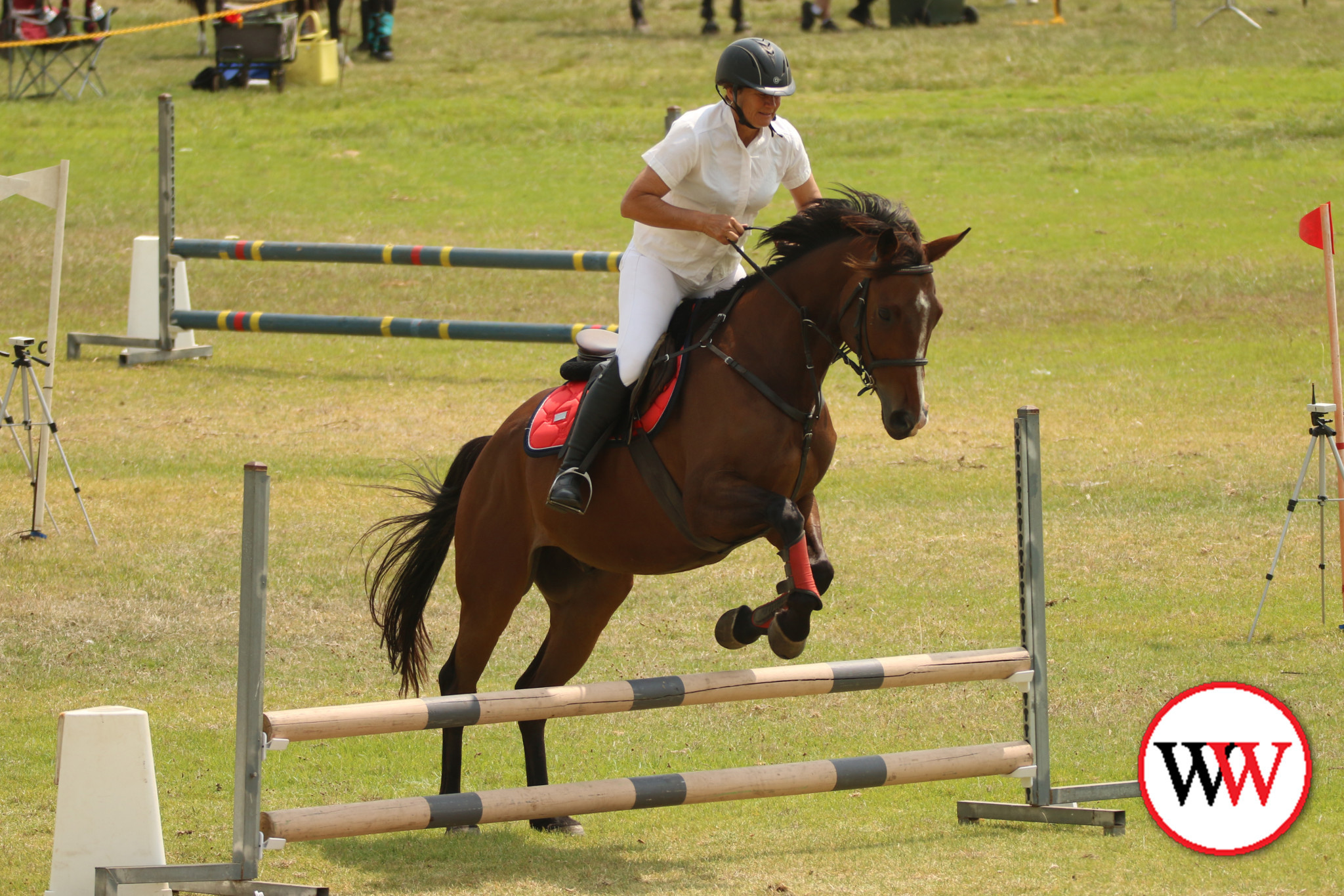 Riders test their skills in the arena - feature photo