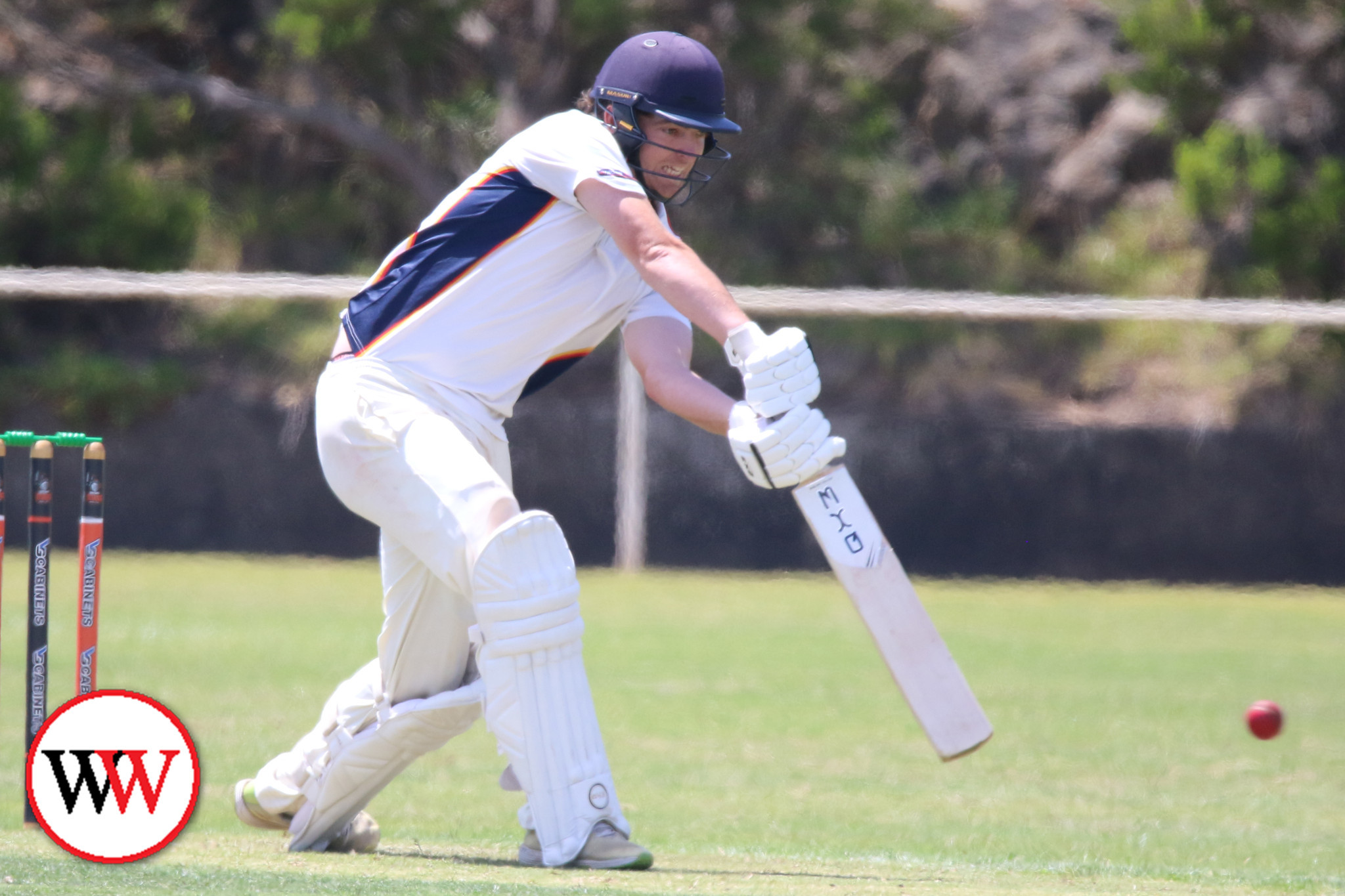 Local Cricket Action - feature photo