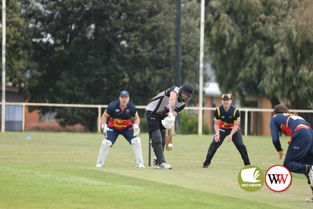 Local Cricket Action: Division 1 - feature photo