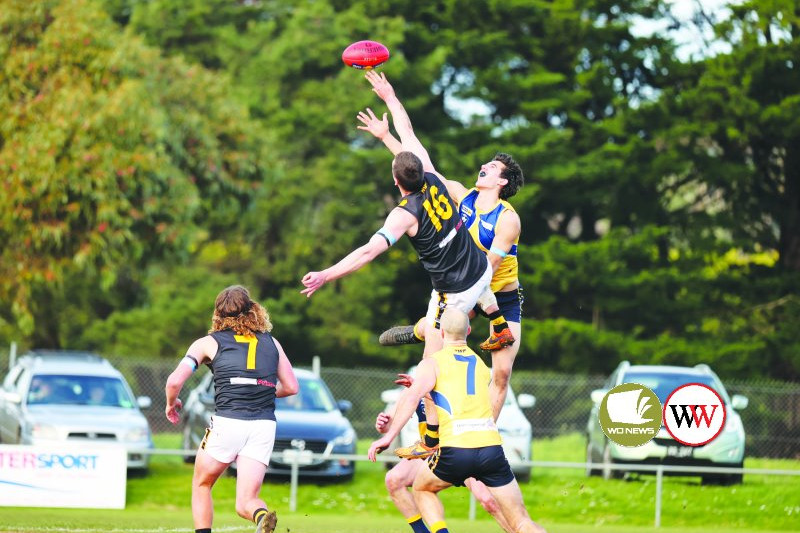 Around the Grounds: North Warrnambool V Portland - feature photo