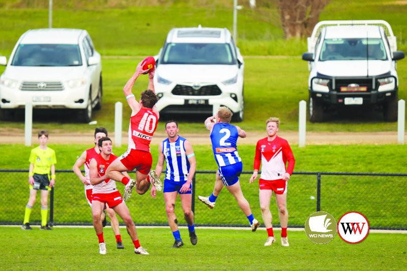 Roosters dominate - feature photo