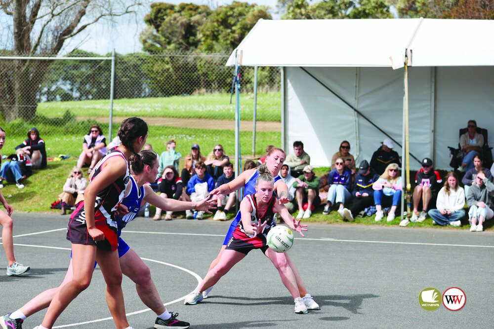 Finals Fever: Koroit V Hamilton - feature photo