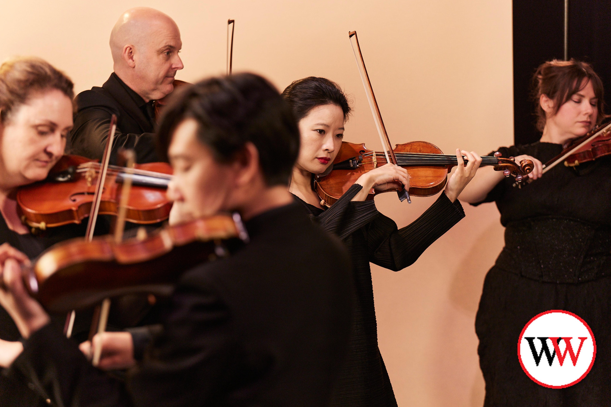 Orchestra brings colour and connection - feature photo
