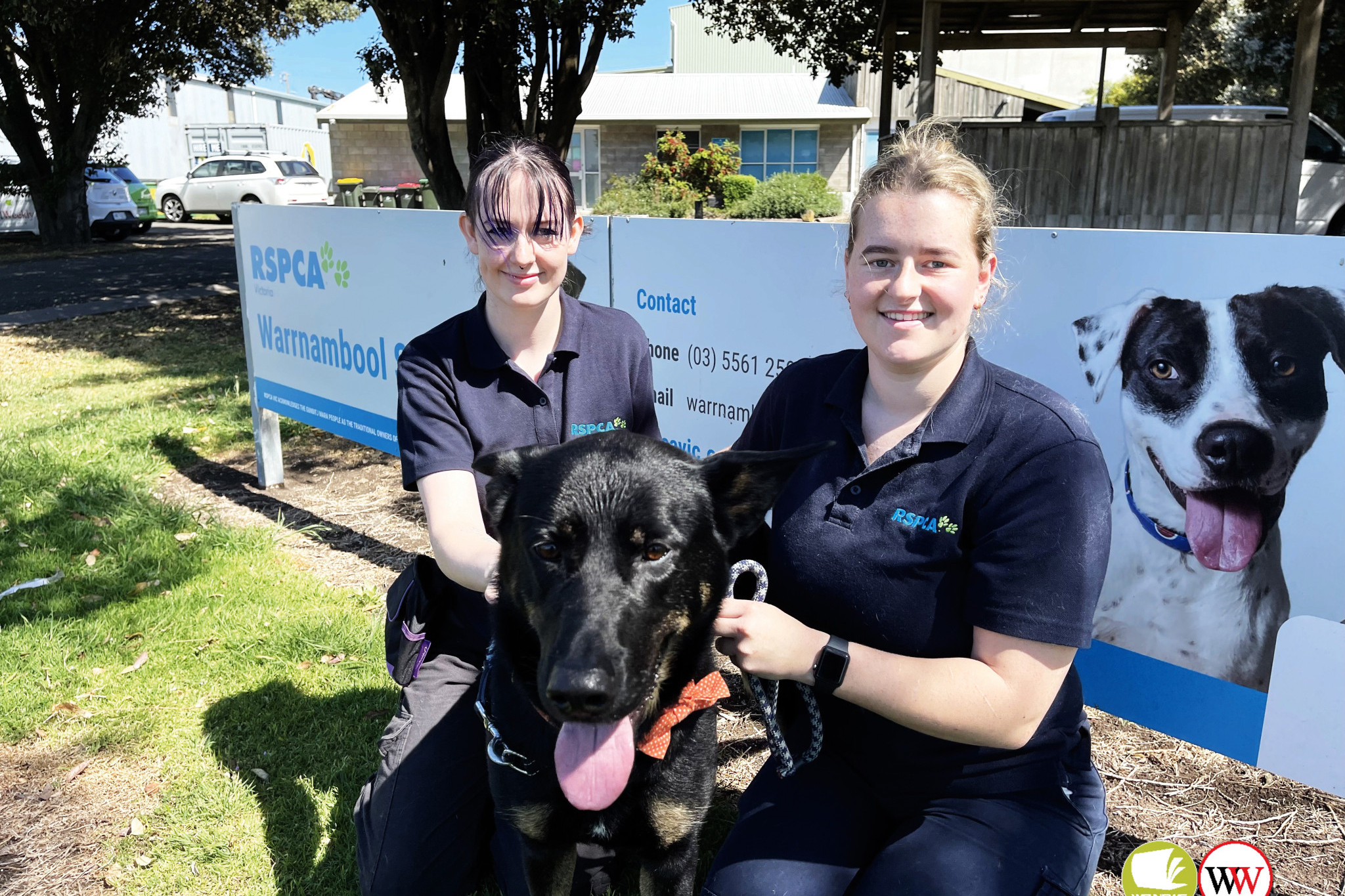 The Weekly met with RSPCA staff at the shelter in March this year.