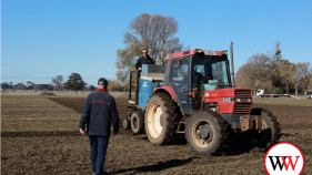 Seed demo site for TAFE students