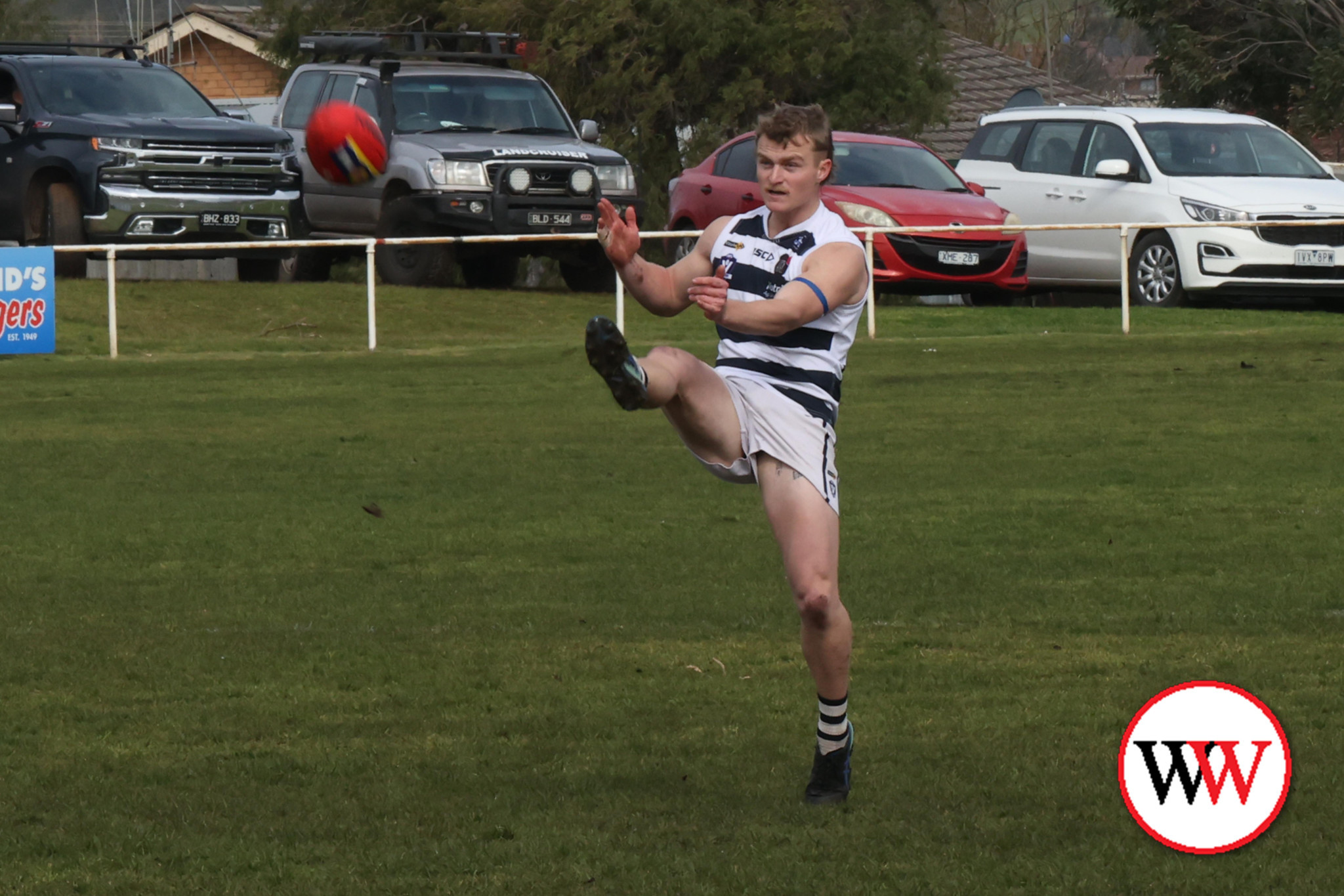 Cats through to grand final - feature photo