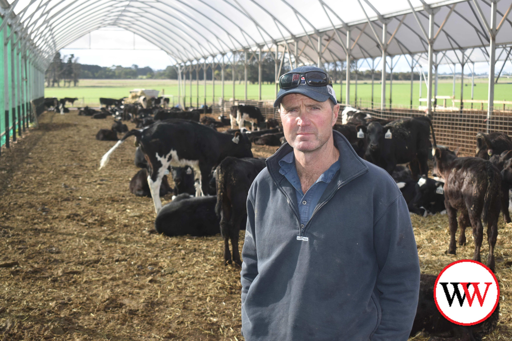 Panmure farmer Simon Rea.