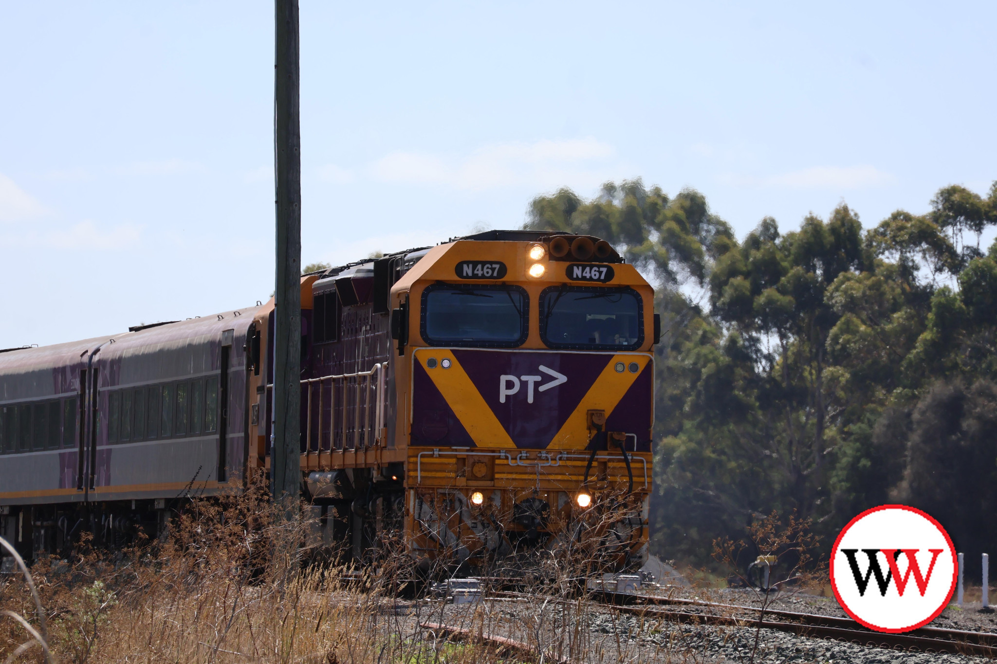 “Absurd and totally unacceptable”: Member for South West Coast Roma Britnell has demanded action after learning 30 per cent of replacement services on the Warrnambool line do not have access to toilets, which has included suggestion passengers should request a stop to “find a bush to squat behind".