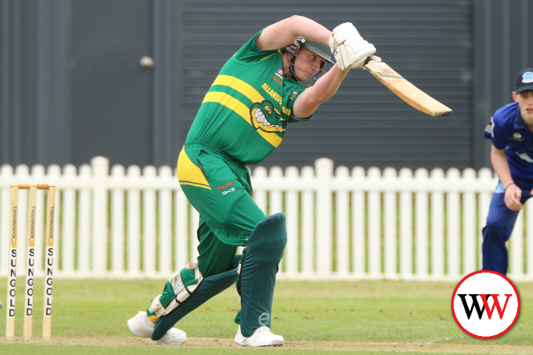 Local Cricket Action - feature photo