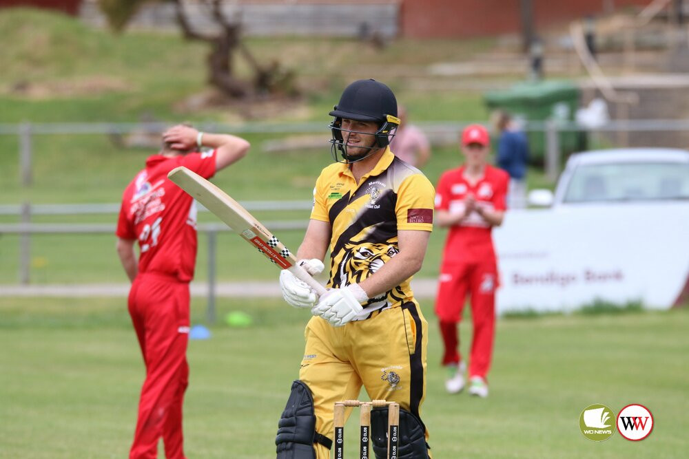 Local Cricket Action: Merrivale V Dennington - feature photo