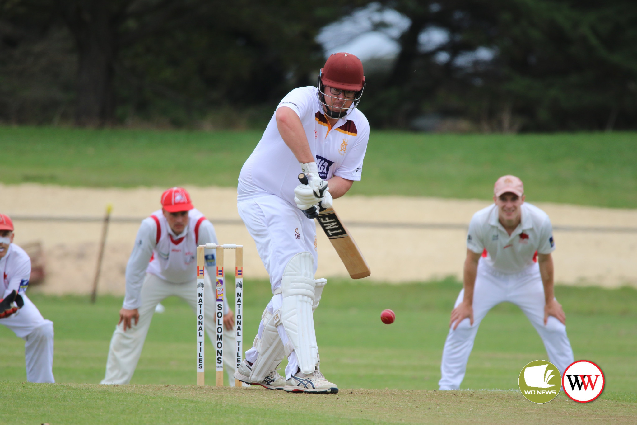 Local Cricket Action - feature photo