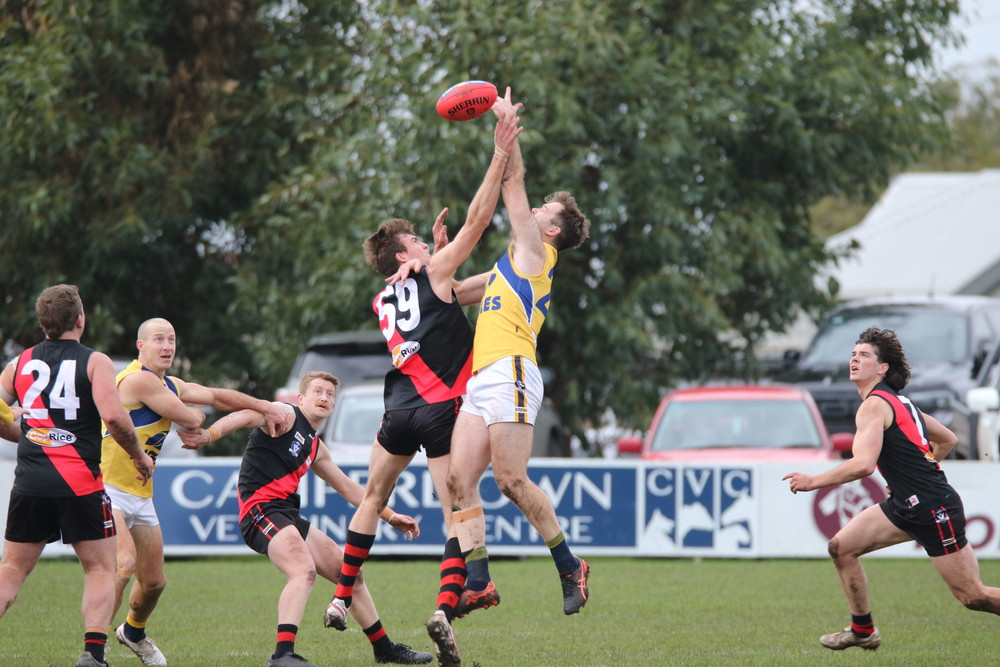 Around the Grounds: North Warrnambool V Cobden - feature photo