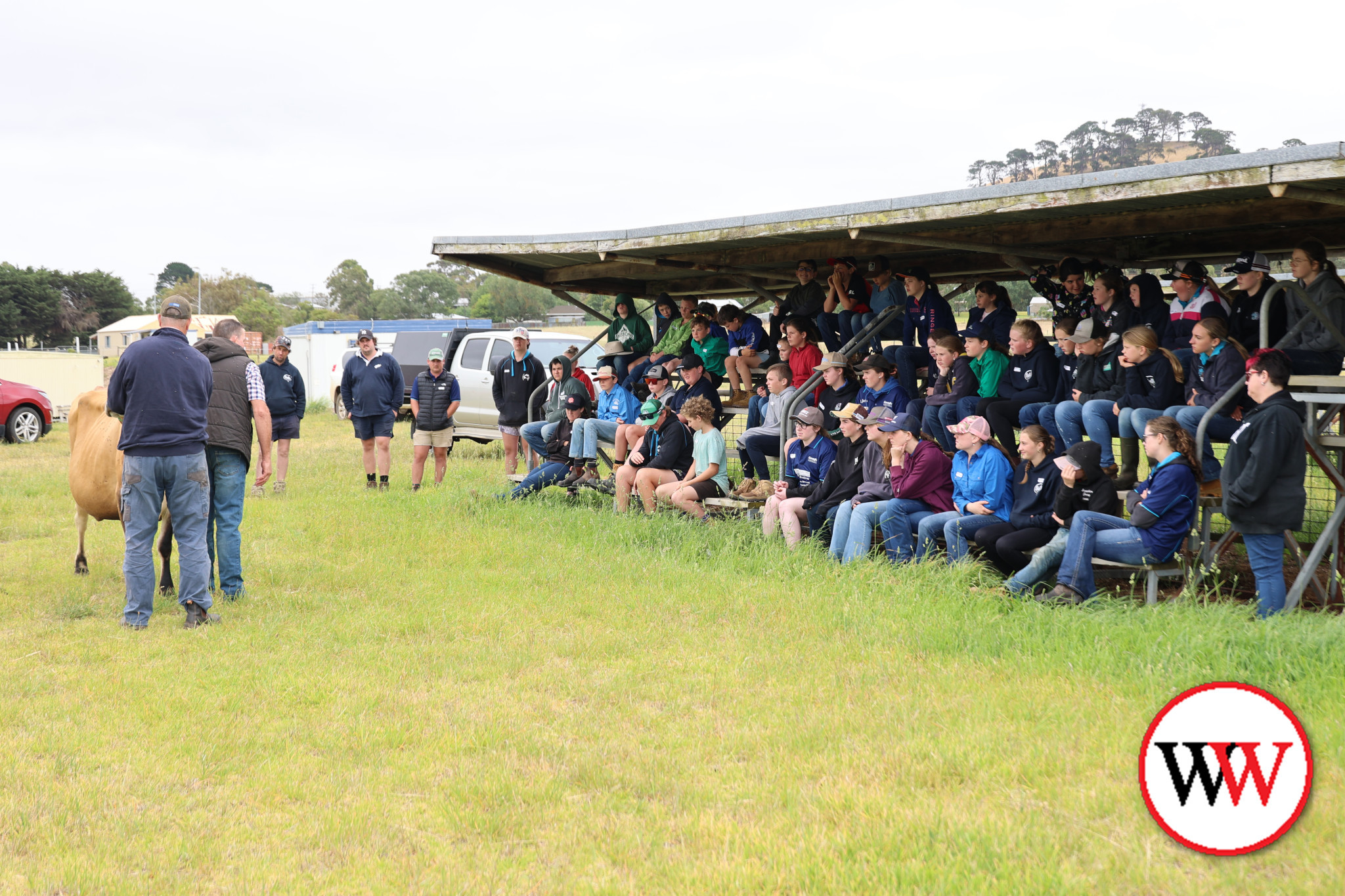 Youth camp introduces young people to dairy industry - feature photo