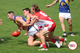 north-v-south-footy-16.jpg