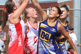 north-v-south-netball-6.jpg