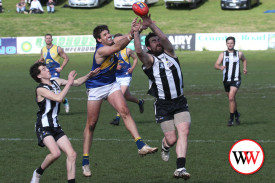 north-warrnambool-footy-3.jpg