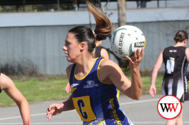 north-warrnambool-netball-7.jpg