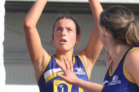 nw-open-netball-1.jpg
